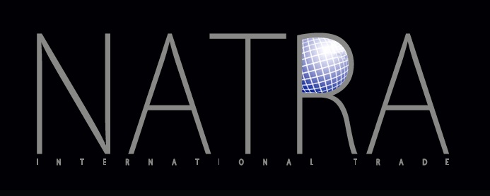 Logo Natra IT 02